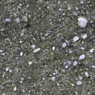 High Resolution Seamless Concrete Texture 0009